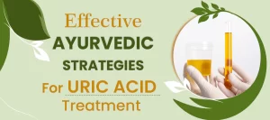 ayurvedic perspective on uric acid