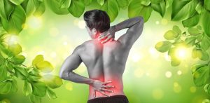 Ayurvedic Back Pain Treatment in Kerala